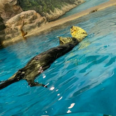 uresiikoto_bot's profile picture. その昔、「幸せな事があった時に呟くbot」として作った裏アカウント。これからは、「未来を明るくしてく為の垢」として闘病垢として再登録。得意なことは「ひとり多幸感」。笑 同病の人、そうじゃない人誰もが幸せに生きられる世の中を作っていきたい。そんな思いで始動します。好きな顔文字は名前とは裏腹に(-᷄◞८̻◟-᷅)コレ。