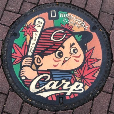 広島出身広島育ち。大阪在住のカープファン！たまに甲子園で 全力応援！大瀬良推し