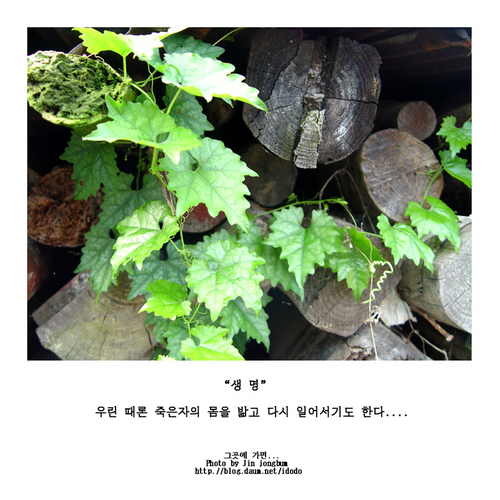 변하는 세상을 적응하지 못하고 헤메는 중