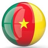 Le Nouveau Cameroun(@NouveauCameroun) 's Twitter Profile Photo
