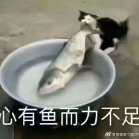有害健康 (@_migrush_) 's Twitter Profile