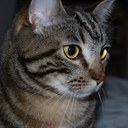 Terry Clancy - @terryc23 - Twitter