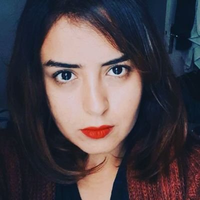 Freelance translator |
Former parliamentary assistant | Civil society activist