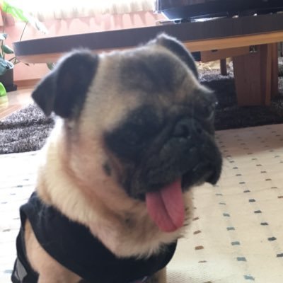 テイオウ
