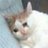 ddubiddubab_b's profile image