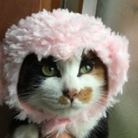みるく (@ztp0ntqfvk0ygad) 's Twitter Profile Photo みるく (@ztp0ntqfvk0ygad) 's Twitter Profile Photo