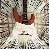 塩漬けの八束 (@salted_yaduka) Twitter profile photo