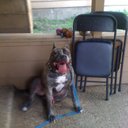 terry readus - @mr_bigdaddy2683 - Twitter