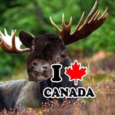 AndyOB13's profile picture. my granddaughter is unpleasant🧜‍♀️
Future Pediatric Neurosurgeron🙈
Curly Fry Connoisseur🍻
Herbal Remedies Saved my dog🤭
Imma 🦀 (cancer)
Barcelona '92🇪🇦🤺