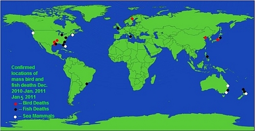 World_Observing's profile picture. Observe and share....