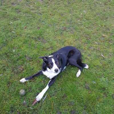 Davidarnold26's profile picture. 