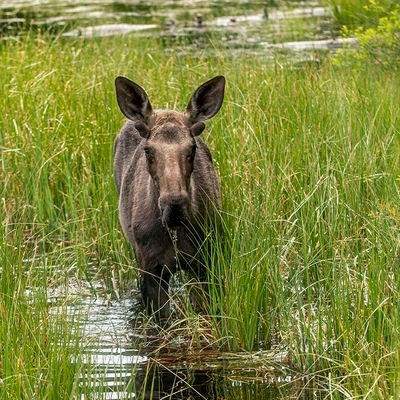 Schubert110's profile picture. 