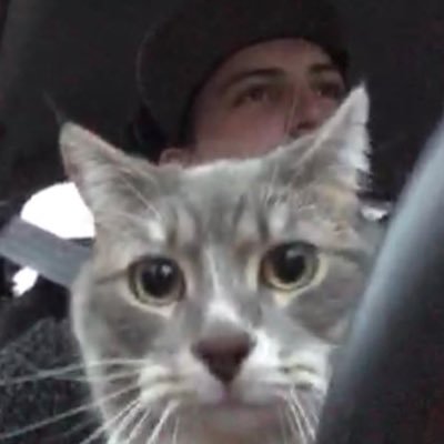 BroganIsGood's profile picture. If only I had something interesting to tell you all!