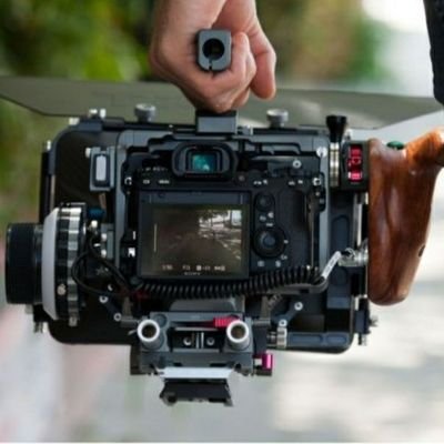 BBiduli's profile picture. Palm trees 🌴and sun