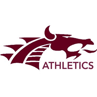 TheVille Athletics Profile