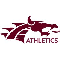 TheVille Athletics (@godragonsgo_) 's Twitter Profile