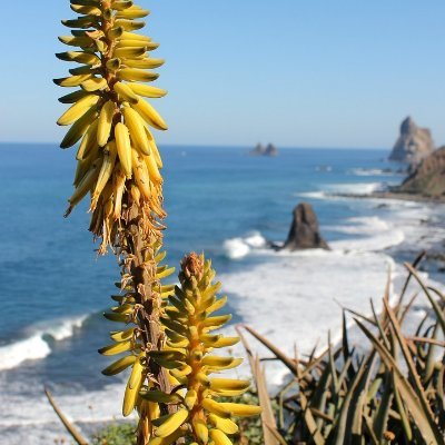 ElviraWidmann's profile picture. Entrepreneur  
Art Design Beauty