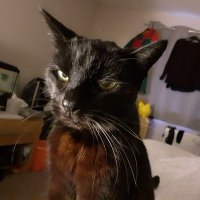 L Crouch CORNHILL (@cornhill_l) 's Twitter Profile