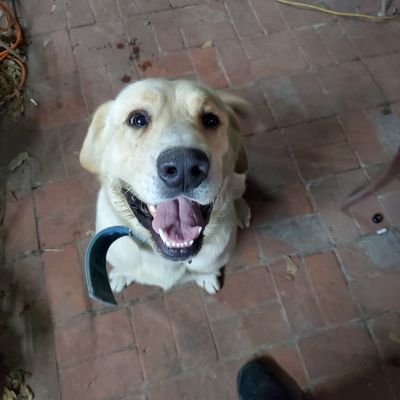 Manuel174157594's profile picture. 