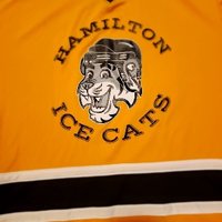 Hamilton Ice Cats(@hamiltonicecats) 's Twitter Profile Photo