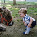 David Rung - @drung18 - Twitter