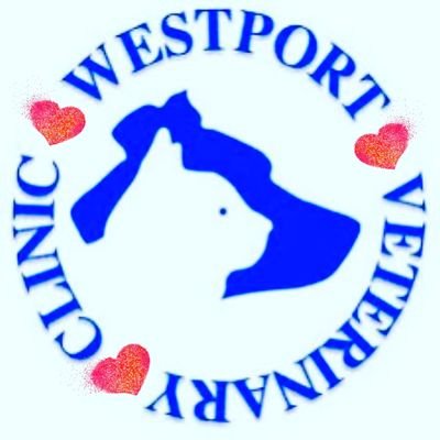 Westport Veterinary Clinic is a locally owned practice with a strong commitment to giving the best care to your pets - Linlithgow, South Queensferry & Edinburgh