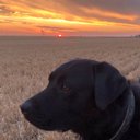 Troy Johnson - @johnogrub74 - Twitter