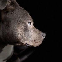 linda wannell (@lindawannell) 's Twitter Profile