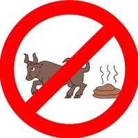NoBullshitBill (@nobullshitbill1) 's Twitter Profile