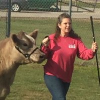 Kristin K. Hall (@kristinkhall) Twitter profile photo