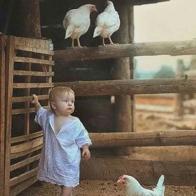 hassne33341's profile picture. 