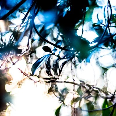 YosukeTakeda's profile picture. Photographer | Deep Worker | 告知 

 | Content is primarily shared via Instagram Stories.
 | Instagram:  https://t.co/Hdo8tpJBN7