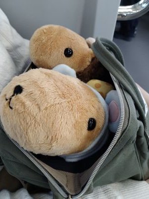 カピバラさんが大好き。カピ爺と仔カピに癒されてます。カピバラさん好きの方とお近づきになりたいです!