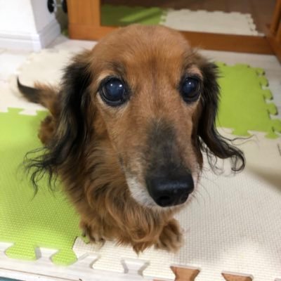 tatakaukawaii's profile picture. 空と花と万華鏡とキラキラ輝いてる素敵な人が大好きです♡あと、お酒も大好きです♡好きなものがありすぎて毎日楽しいです♡大好きな人がいっぱいいます♡ 岡山にいるgrooveworker、feohメンバーです！