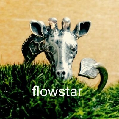 flowstarさんのプロフィール画像