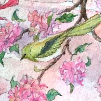 おみりょさんのプロフィール画像