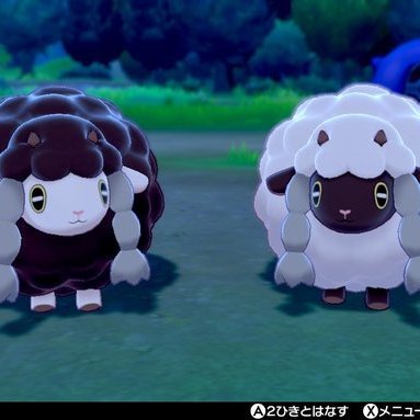 メーメ こんばんわー キュウコンとバンバドロの色違い在庫ありますが色ゼクロムとの交換可能でしょうかー