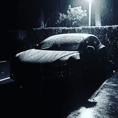my_model_3's profile picture. yo!