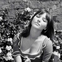 ete (@ete) Twitter profile photo