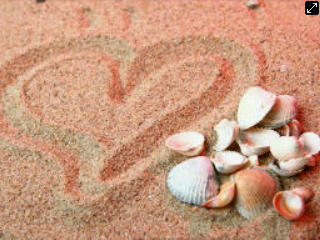 TeammFollBackk's profile picture. We always follow back ! Just mention if you are following me but i haven't follow you ! The more you RT, the more you'll get shoutout ! #TeammFollBackk