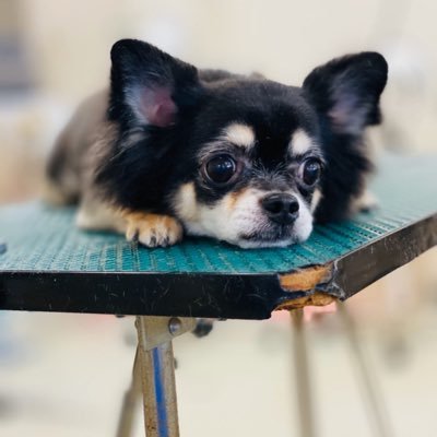 BFNnMmuZOT92pL9's profile picture. 