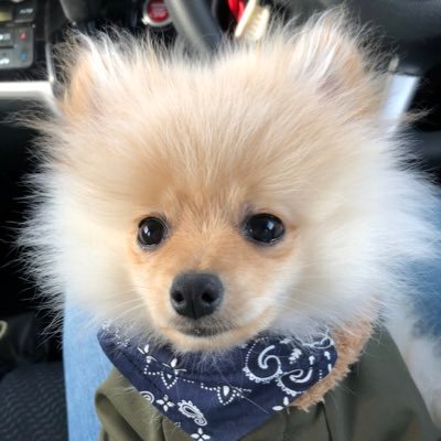 techu_3_ranian's profile picture. 2児のシンママ♡#UVERworld ♡#MWAM ♡#飲むヨーグルト ♡#ネイル ♡#カラオケ ♡後悔しないように行動！どんな時も笑っていよー(*•̀ᴗ•́*)و ̑̑🧡