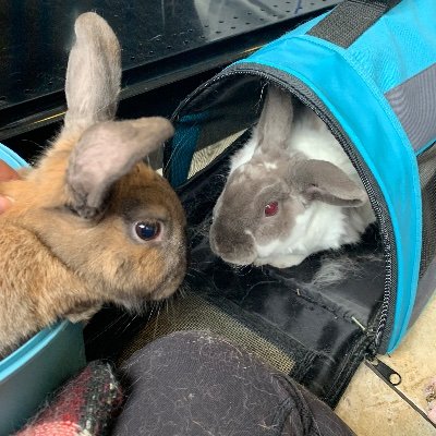 angelicaeve4's profile picture. Wake up every morning with the thought that something wonderful is about to happen