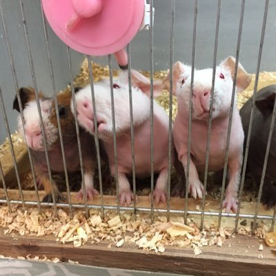 どん底の生活からあなたを助け出します!
地獄のようだった数年前。
どん底生活から劇的復活👍
毎日爆発的に楽しいライフを✨
考え方一つであなたを幸せの旅路へ誘い出します🚶♀
『毎日楽しいの作り方』をX、ブログで配信中📡
無言フォロー大歓迎✨ポスト拝見後フォロバさせて頂きます🎁
