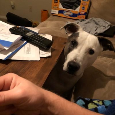 gastyler's profile picture. If you have to ask, you can’t afford it. Tweets, RTs, and likes are my own