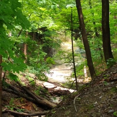 fubared08's profile picture. Mmmmmm coookies