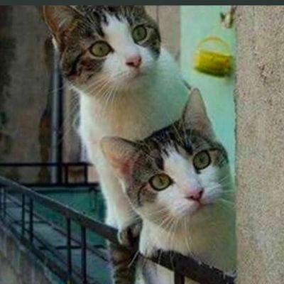 robocop_09's profile picture. 