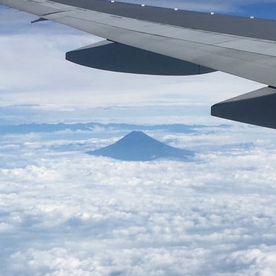 nownownow252525's profile picture. 