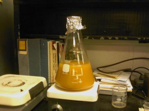 Fatherbigfoot's profile picture. avid homebrew that keeps a close eye on the craft beer scene with a strong focus on the Michigan brewing industry