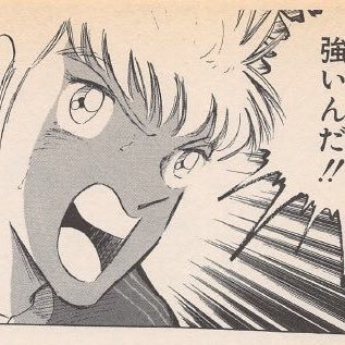 カールハインツシュナイダー Torahi Hatudou Twitter カールハインツシュナイダー Torahi Hatudou Twitter